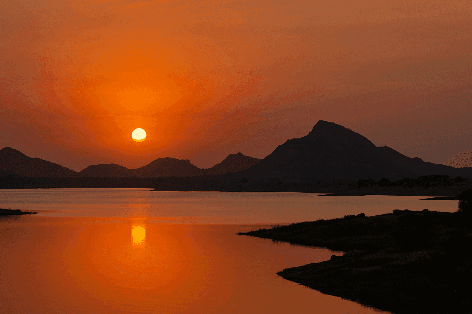 Sunrise Leopard Safari